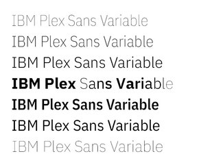 IBM Plex Sans variable font