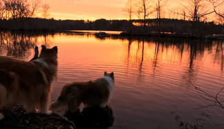 Photo of Tristan and Tillie watching the sun rise