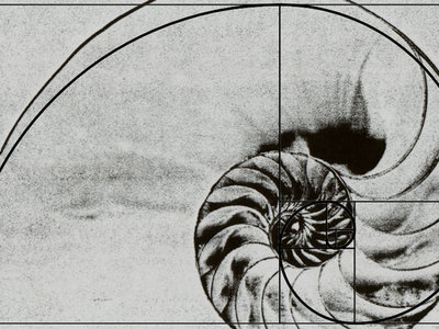 A nautilus shell overlaid with an illustration of the Golden Ratio 