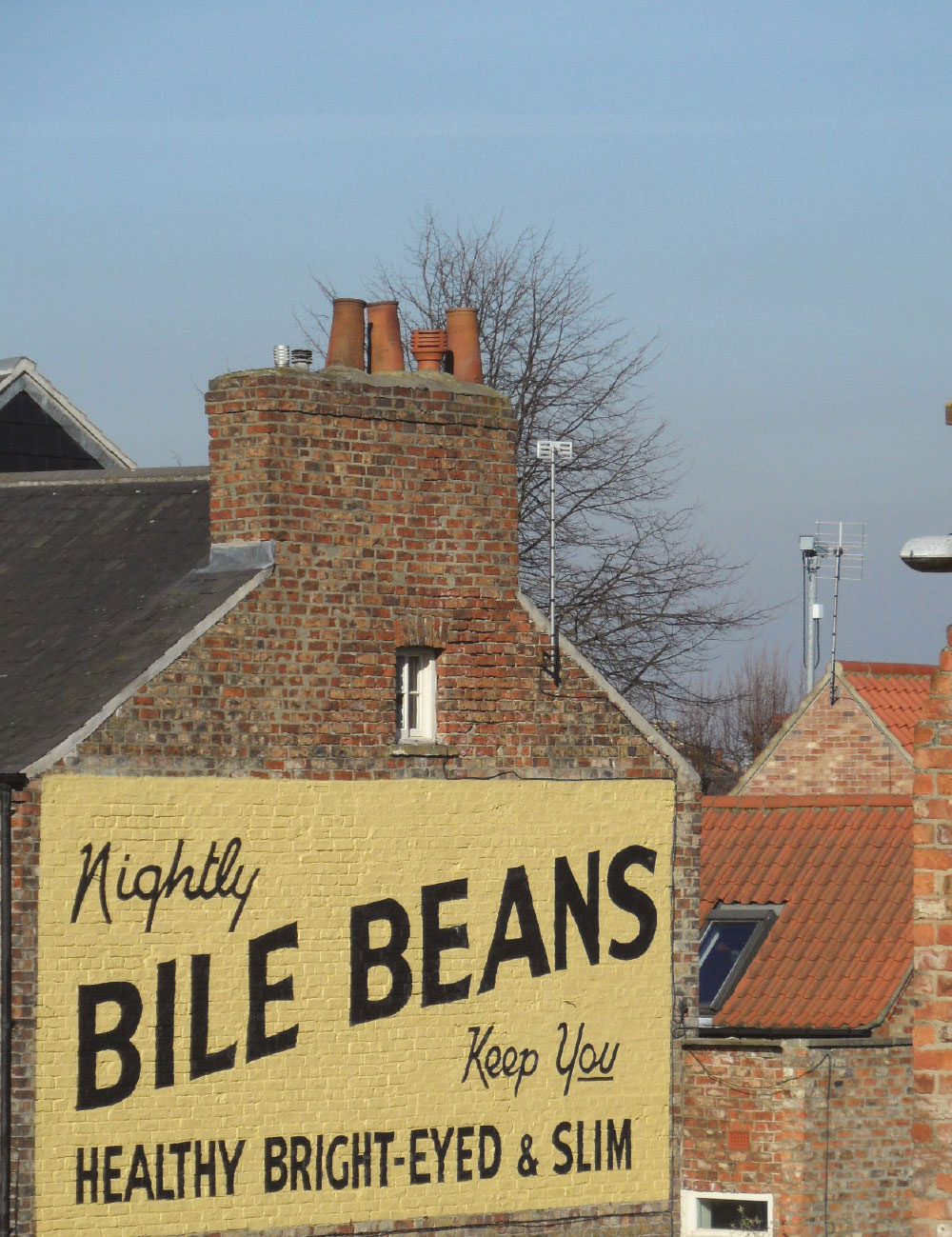 Bile Beans Restoration