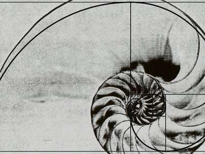 A nautilus with the Golden Ratio illustration overlaid on it