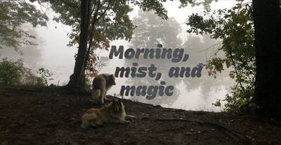 An image of text layered and blended with an image