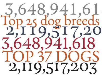 Examples of different number styles