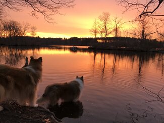 Tristan and Tillie watching the sun rise