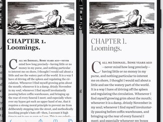 Side-by-side comparison of screens showing Georgia and Literata versions of the book