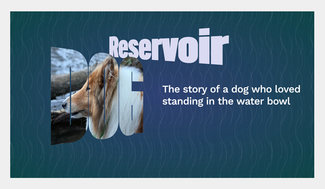 Reservoir Dog complete design